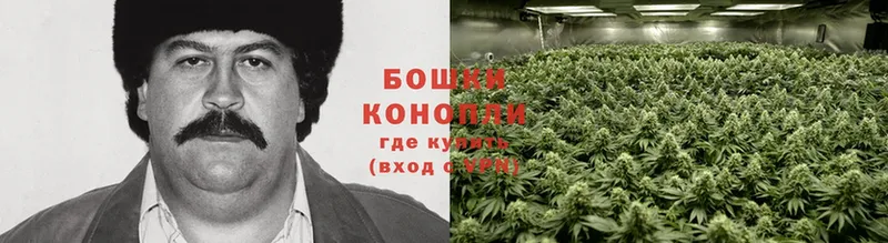 где купить наркотик  Буйнакск  Бошки Шишки Ganja 